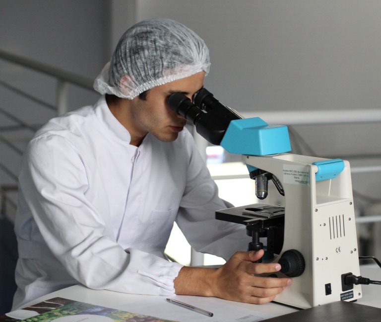 Investigación y Desarrollo